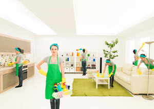 Apartment Cleaners